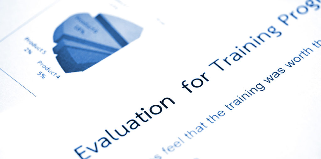 consulting program evaluation services