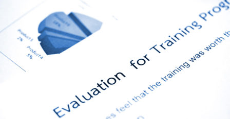 consulting program evaluation services